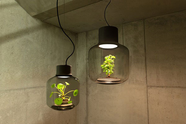 نور مصنوعی برای گیاهان آپارتمانی