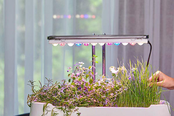 مزایای چراغ‌های LED  برای گیاهان